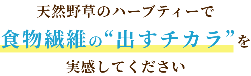 天然野草のハーブティーで食物繊維の“出すチカラ”を実感してください